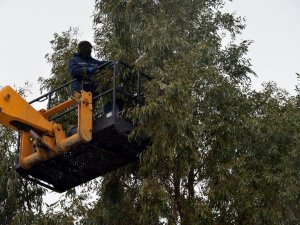 Aliağa Belediyesi ekipleri Kalabak Mahallesi’nde