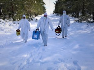 Aşı ekipleri komando gibi: Kar ve baraj onlara engel olamadı