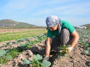 Aliağa Belediyesinden Türkiye’nin ilk toprak ve tarım atlası