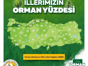 Aydın’ın yüzde 40’ı ormanlarla kaplı