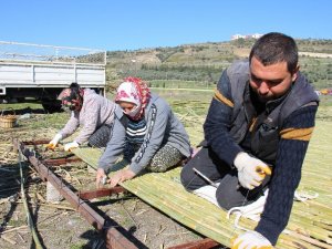 Yılda 500 ton kargı işliyorlar