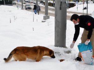 Türk polisinden yürekleri ısıtan hareket