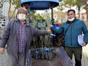 Aliağa Belediyesinden tarımsal kalkınmaya destek