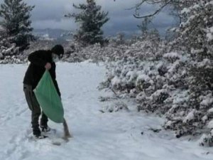 Yaban hayatına yönelik yemleme çalışmaları devam ediyor