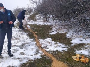 Yaban ve sokak hayvanlarına şefkat eli