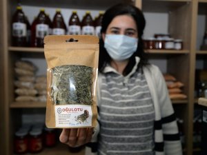 Üniversitenin bitki çayları kış aylarında şifa dağıtıyor