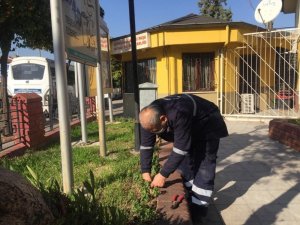Efeler Belediyesi, muhtarlıkları çiçeklendirdi