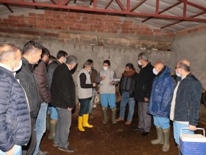 Diyarbakır’da şap aşılama kampanyası başladı