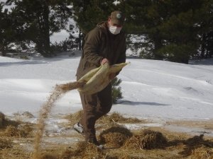 Muratdağı’nda yabani hayvanlar için yem bırakıldı