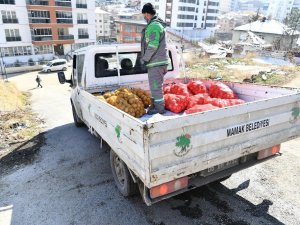 Mamak’ta ihtiyaç sahibi ailelere soğan dağıtıldı