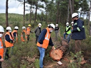 Endüstriyel plantasyon sahasında üretim