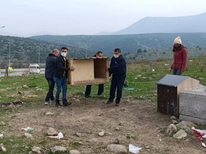 El ele verdiler, sokak hayvanlarını barınaksız bırakmadılar