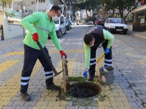 Efeler Belediyesi kent zararlıları ile mücadele ediyor