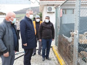 Kılıç: "Can dostlar için daha çok hassasiyet göstereceğiz"