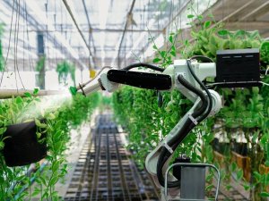 Egeli firmalar sürdürülebilir inovasyon için yarışıyor