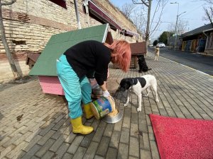 Bayat ekmekler 2 binden fazla hayvana aş oluyor