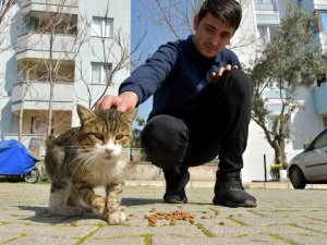 Aliağa Belediyesi sevimli dostlar için görev başında