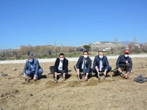 Selendi’de cirit sahası artık lavanta kokacak