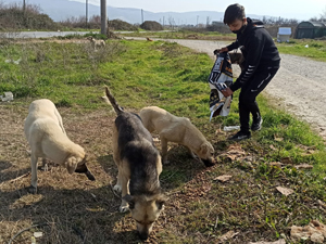 İYİ Partili gençler sokak hayvanlarını unutmadı