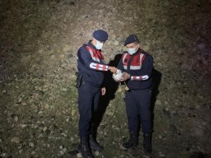 Yaralı martıya jandarmadan yardım eli