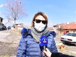 Ankara Büyükşehir Belediyesi, sokak hayvanlarına mama desteğini sürdürüyor