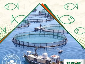 "Emeğiniz Su Ürünleri Hayat Sigortası ile TARSİM’e emanet"