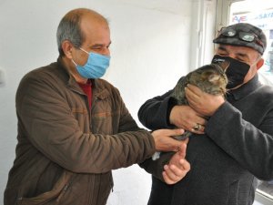 Kayıp kedisine 6 gün sonra kavuştu
