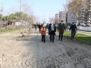 Güzelyurt Mahallesi’ne yeşillendirme çalışması