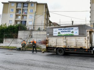 Esenyurt’a ıhlamur ve akasya ağaçları dikildi