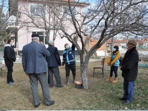 Yetiştiricilere budamada bilgilendirme ve eğitim desteği