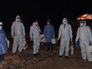 Diyarbakır’da bir mezra, mutasyonlu virüs nedeni ile karantinaya alındı