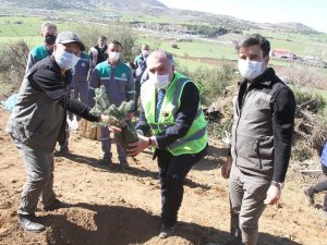 Bakan Kasapoğlu adına memleketi Kula’da hatıra ormanı oluşturuldu