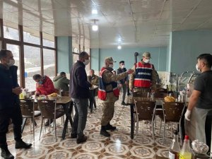 Uludere’de korona virüs denetimi