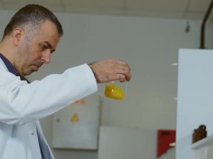 Propolisin etkinliği zeytin yaprağı ve bor ile arttırılıyor