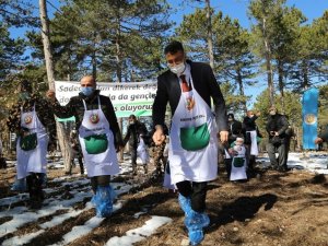 Karaçam tohumları toprakla buluştu