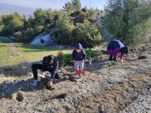 Türkiye’nin en uzun lavanta yolu Manisa’da yapılacak