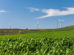 “Tarımsal kalkınmanın anahtarı planlı ve sürdürülebilir bir üretim politikası”