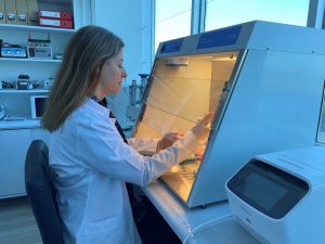 Meme kanserinde kişiye özgü tanı ve tedavi