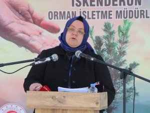 Bakan Selçuk: "Samsun’da eşini darbeden caninin en ağır cezayı alması için hukuki süreçlerin takipçisi olacağız"