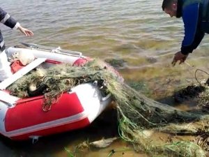 Kaçak avlanan 2 ton balık yeniden suya bırakıldı
