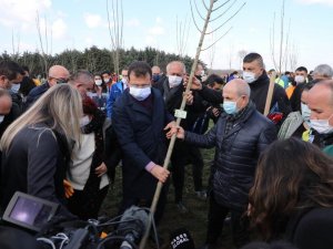 Başkan Akgün, 8 Mart Hatıra Ormanı’na ağaç dikti