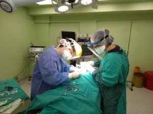 Diş Hekimliği Fakültesi artık engelsiz