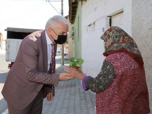 Başkan Bilgin, kadınlara çiçek dağıttı
