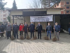 Çiftçiye bin 300 adet ücretsiz kestane fidanı