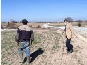 Yerli ve milli buğday tohumu ekili alanlar kontrol edildi