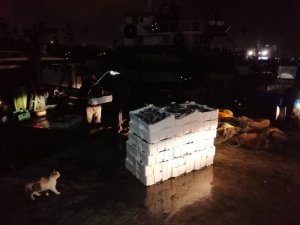 Yenikapı’da su ürünleri denetiminde 25 kasa lüfere el konuldu