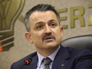Bakan Pakdemirli: “Kırıkhan ve Fethiye’de yangın kontrol altına alındı”