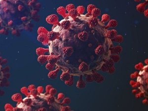 365 günde 58 milyondan fazla Covid-19 haberi yapıldı