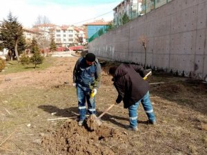 Keçiören’de ağaçlar öğrencilere emanet