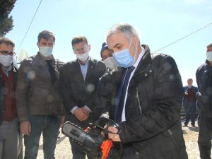 Yabani ahlat ağaçları ekonomiye kazandırılacak